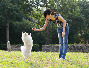 Image showing woman train her dog