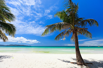 Image showing Tropical Paradise