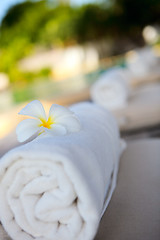 Image showing White towels