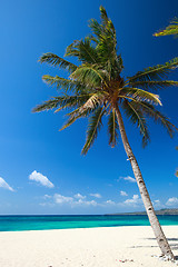 Image showing Tropical Paradise