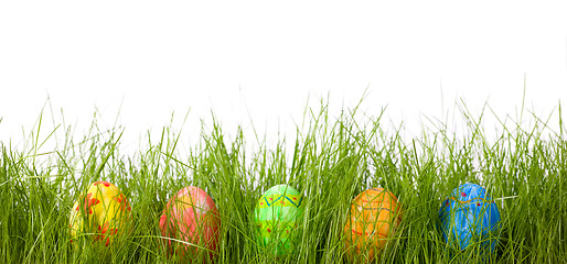 Image showing Easter eggs in fresh green grass