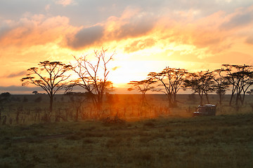 Image showing Morning safari drive