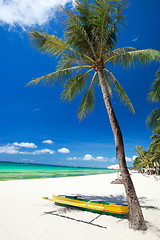 Image showing Tropical Paradise