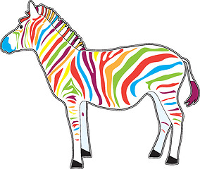 Image showing Multicolor Zebra