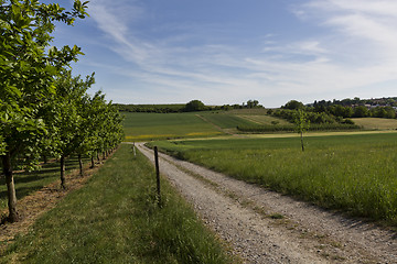 Image showing rural scene in south germany