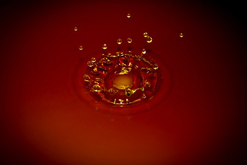 Image showing Water droplet