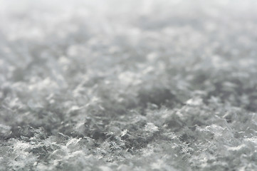 Image showing Snowflakes background