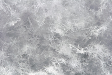 Image showing Snowflakes background