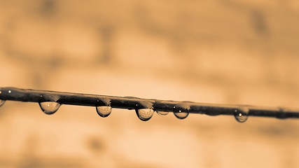 Image showing Wire with water drops