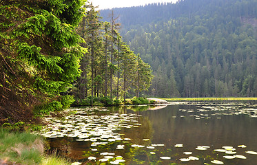 Image showing Lake Arber in Bavaria (Grosser Arbersee)