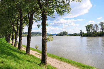 Image showing Danube near Metten, Bavaria