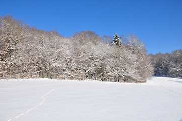 Image showing Winter landscape in Bavaria