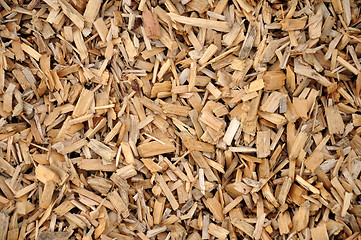 Image showing Wood chips