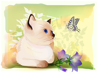 Image showing retro birthday greeting  card with thai kitten watching at butterfly . Watercolor style.