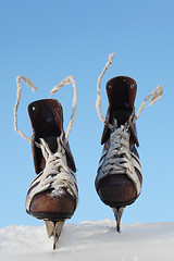 Image showing vintage pair of mens  skates on the ice