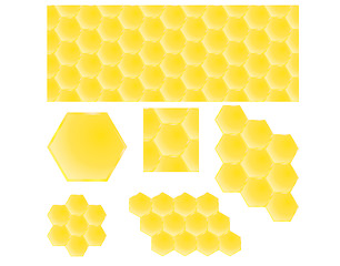 Image showing honey combs 