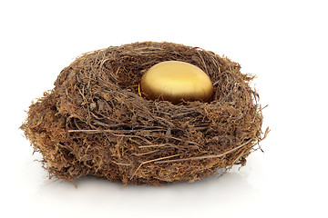 Image showing Golden Nest Egg