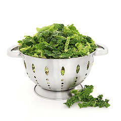 Image showing Savoy Cabbage