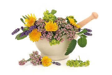 Image showing Herb Flower Selection