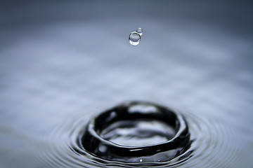 Image showing Water droplet