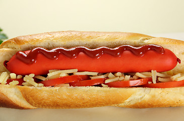 Image showing Hot Dog With Tomato