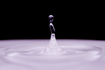 Image showing Water droplet