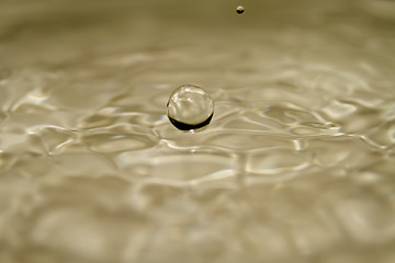 Image showing Water droplet