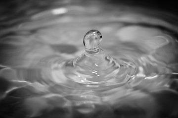 Image showing Water droplet