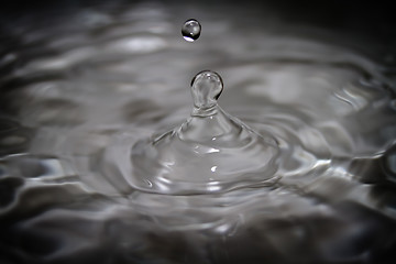 Image showing Water droplet