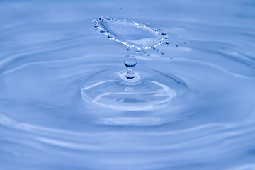 Image showing Water droplet