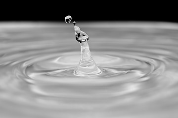 Image showing Water droplet