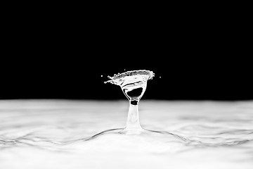 Image showing Water droplet