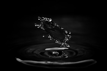 Image showing Water droplet