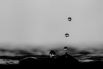 Image showing Water droplet