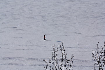 Image showing Ottawa River Cross-country skiing