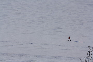 Image showing Enjoy the day by Cross-country skiing on the Ottawa River 