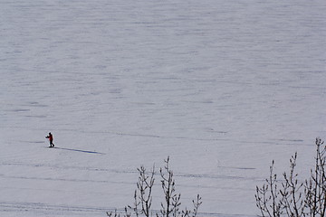 Image showing A good day to Cross-country skiing on the Ottawa River  