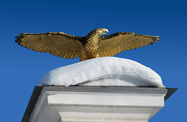 Image showing Golden Eagle