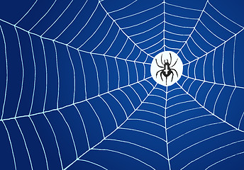 Image showing Spider and Net Illustration