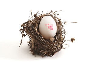 Image showing Small bird nest with XL egg isolated