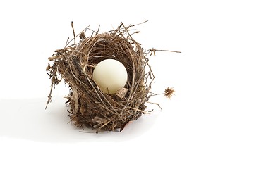 Image showing Small bird nest with ping-pong ball instead of egg isolated