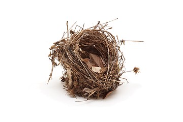 Image showing Empty small bird nest isolated 