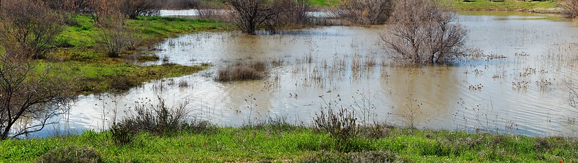 Image showing Trees and bushes standing in water during a spring high water