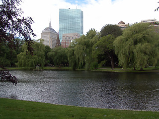 Image showing Boston Public Gardens with City View