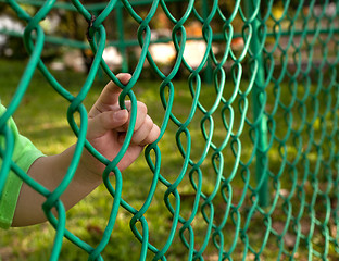 Image showing Child finger on fence