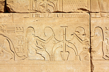 Image showing ancient egypt images and hieroglyphics