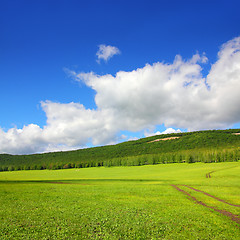 Image showing summer landscape with road