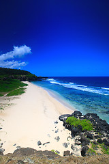 Image showing Beautiful white sand tropical beach