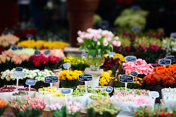 Image showing Flower market