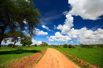 Image showing Tarangire national park